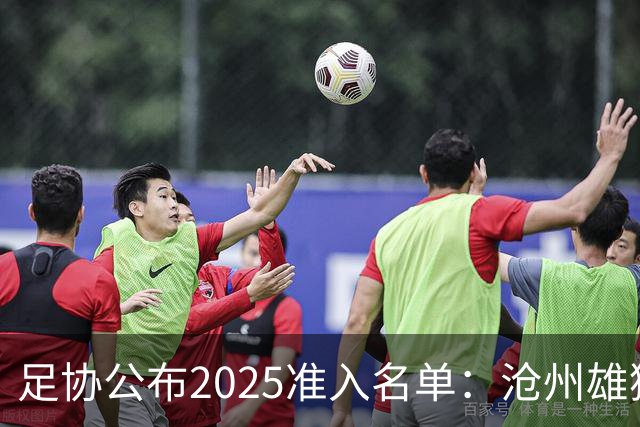 足协公布2025准入名单：沧州雄狮、广州队无缘